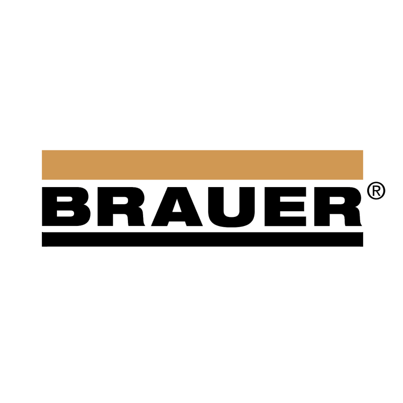 Brauer 44781 vector