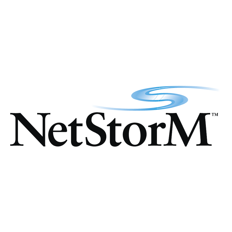 NetStorM vector