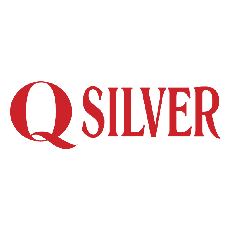 Q Silver vector