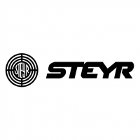 Steyr vector
