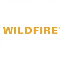 Wildfire vector