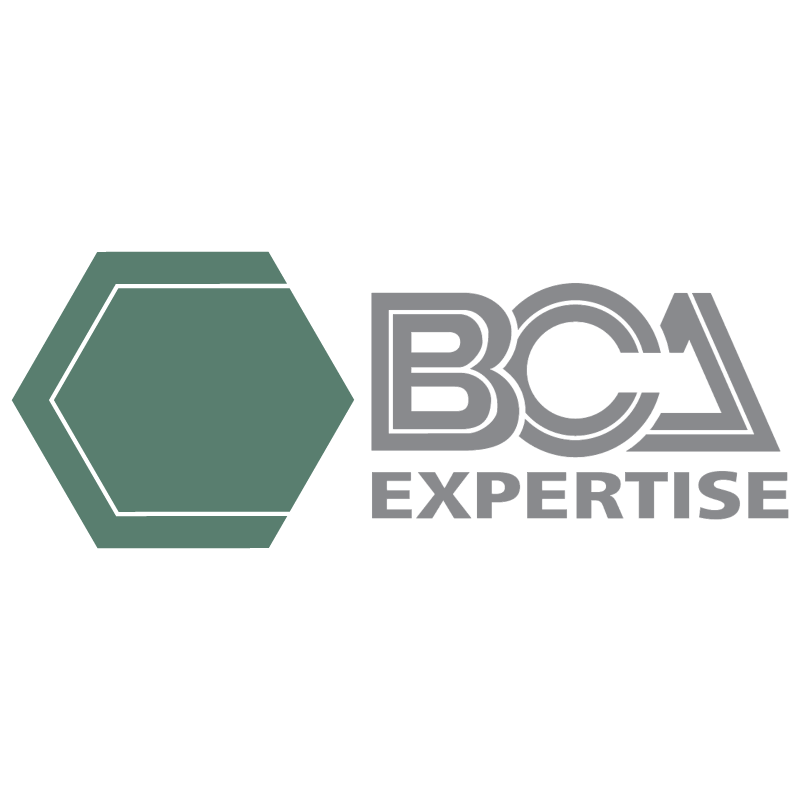 BCA Expertise 778 vector