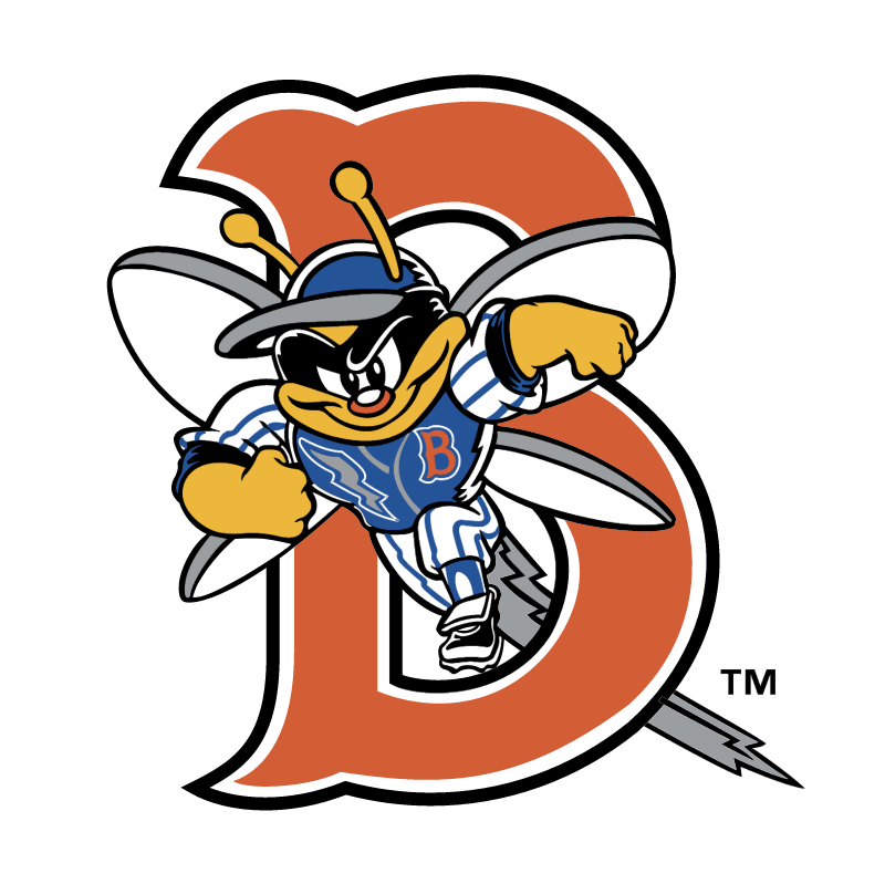 Binghamton Mets 58217 vector logo
