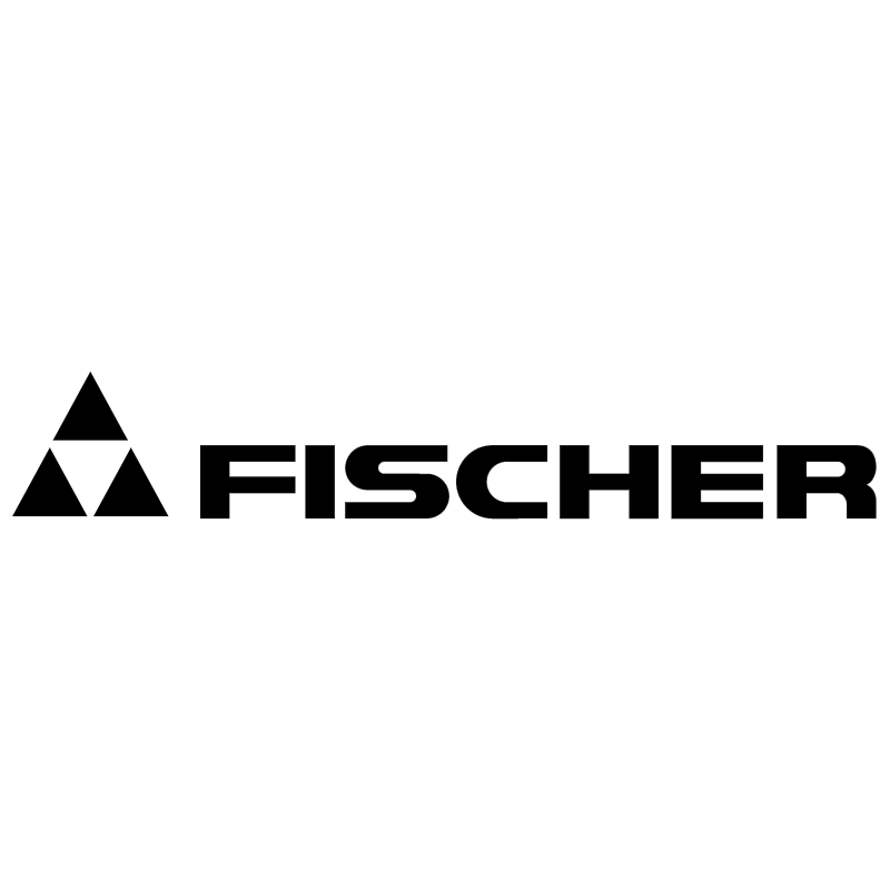 Fischer vector