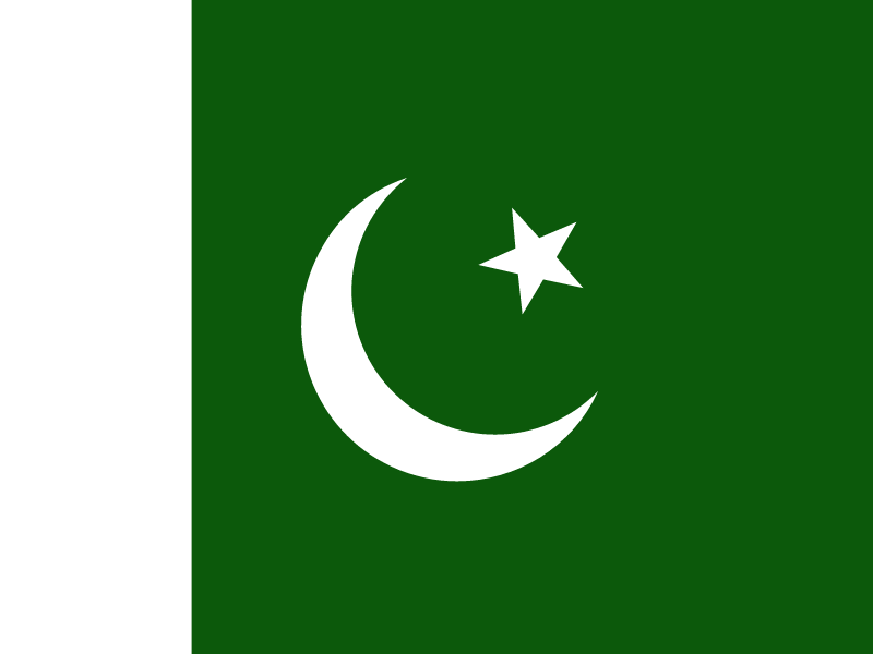 Flag of Pakistan vector