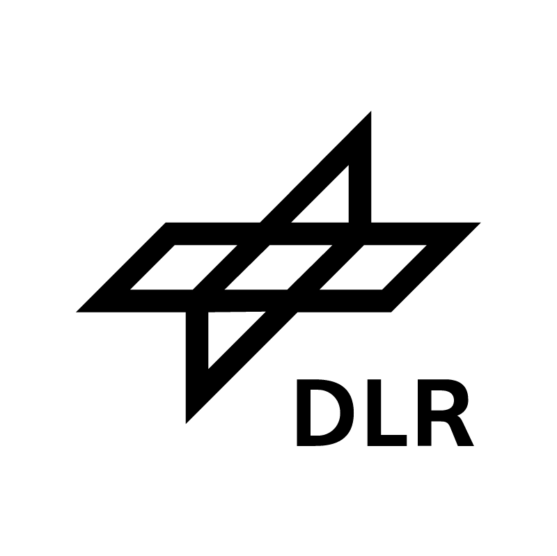 DLR vector