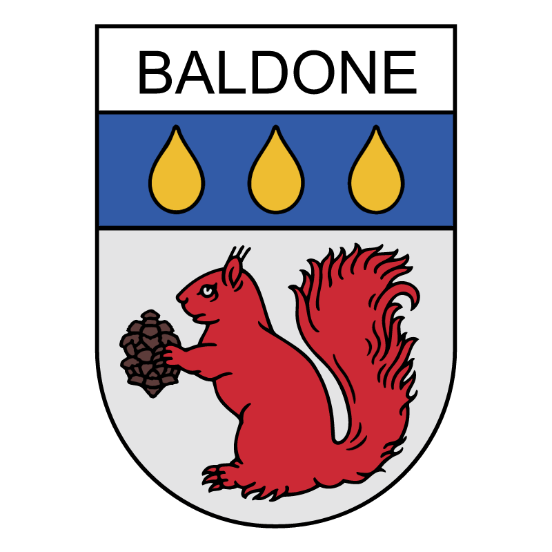 Baldone 73996 vector