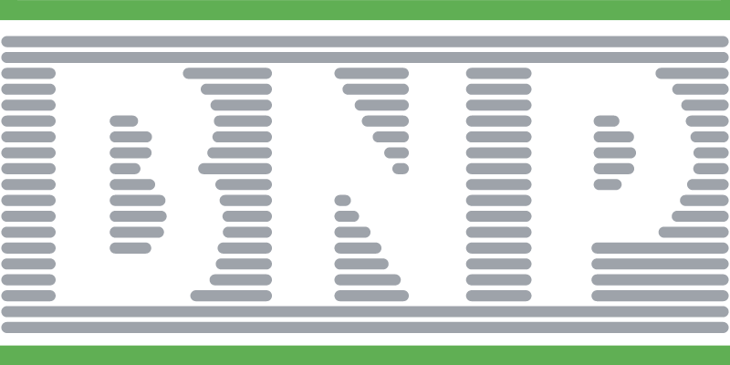 BNP logo vector