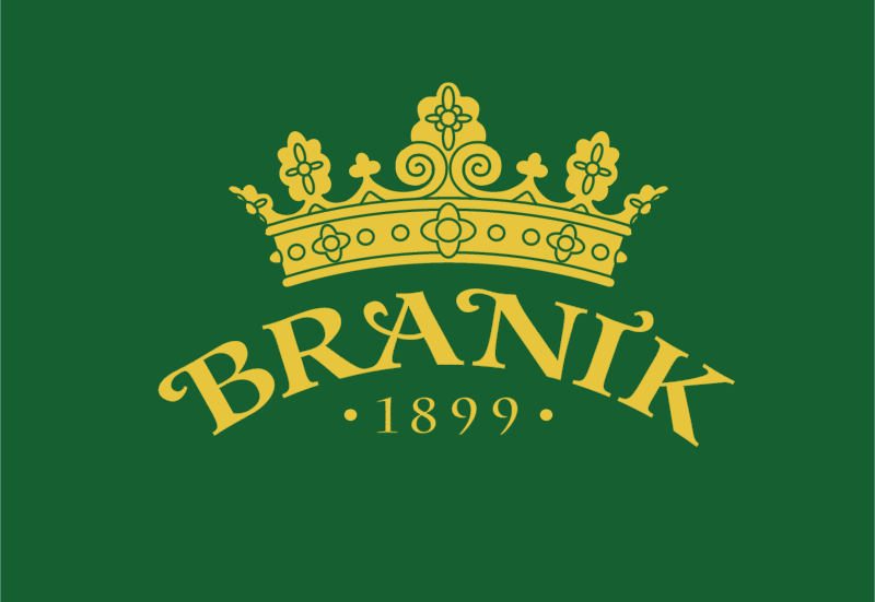 Branik logo vector