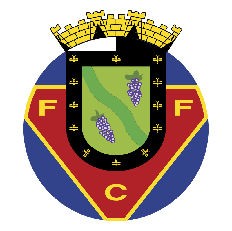 FC Felgueiras vector