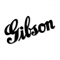 Gibson vector