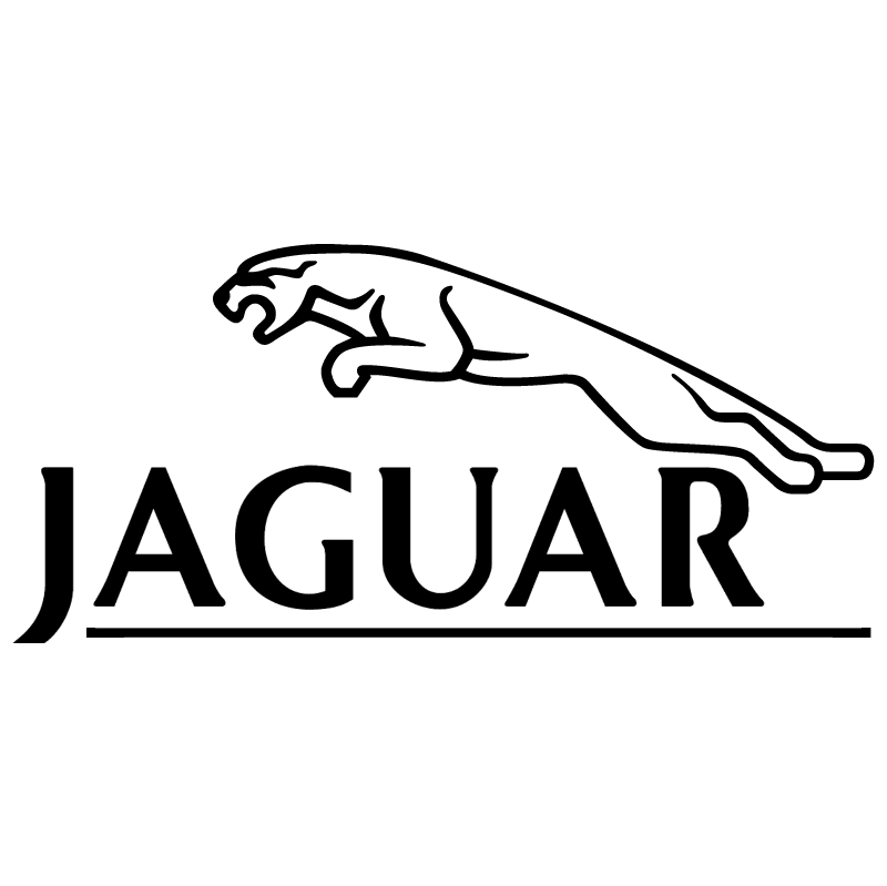 Jaguar vector