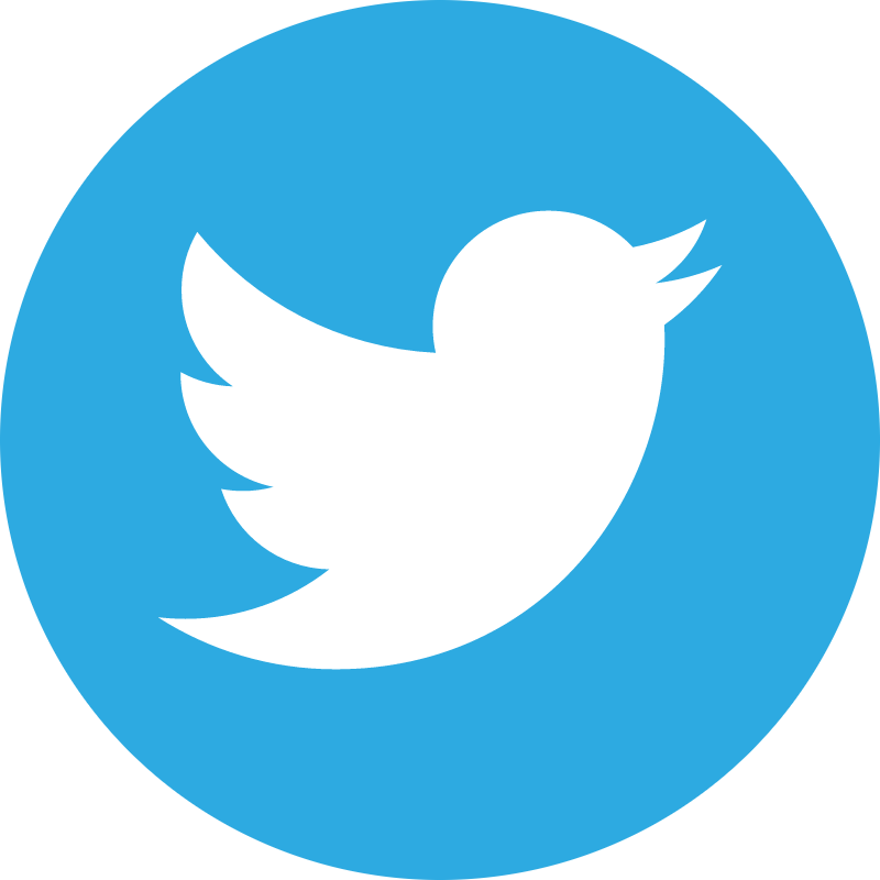 Twitter icon vector