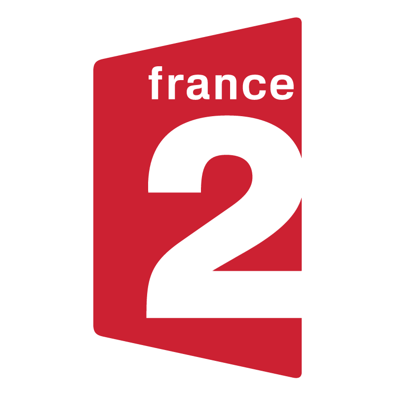 France 2 TV vector