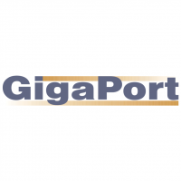 GigaPort vector