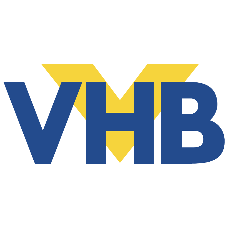 VHB vector