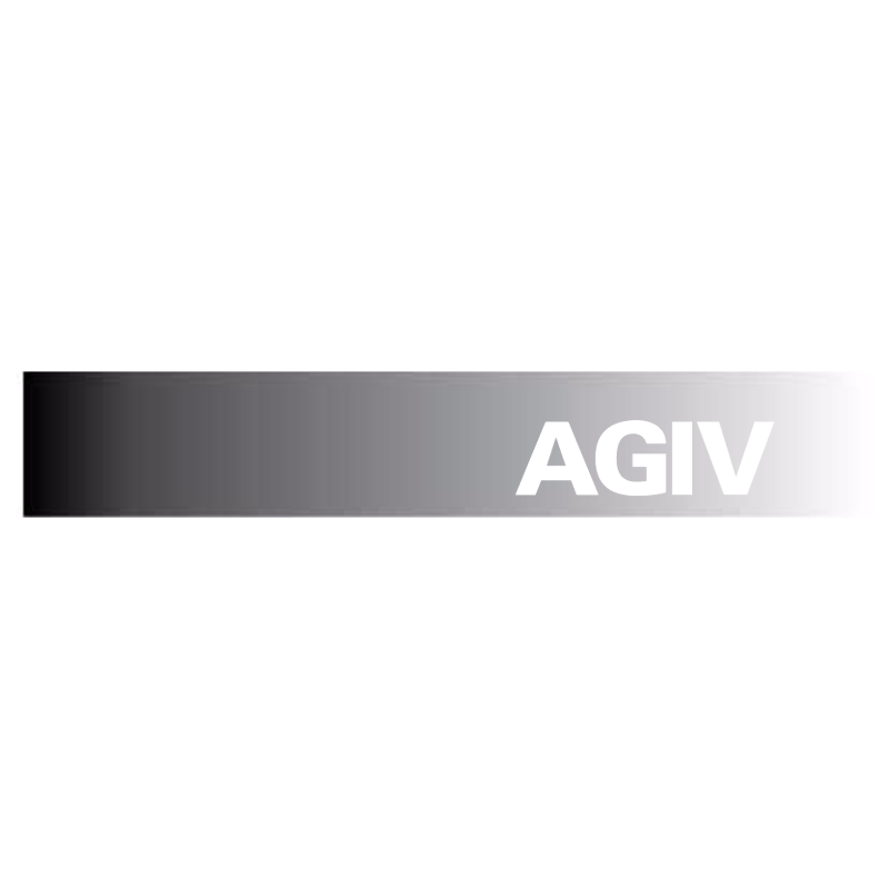 AGIV 481 vector