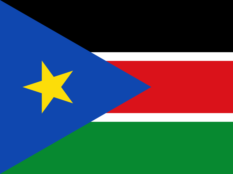 Flag of South Sudan vector