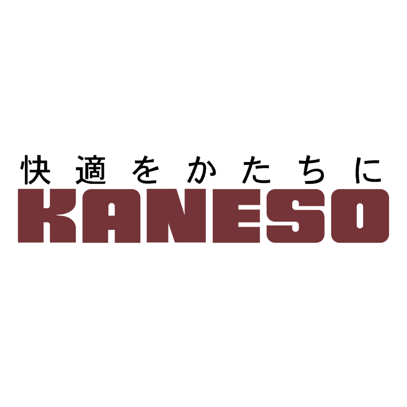 Kaneso vector
