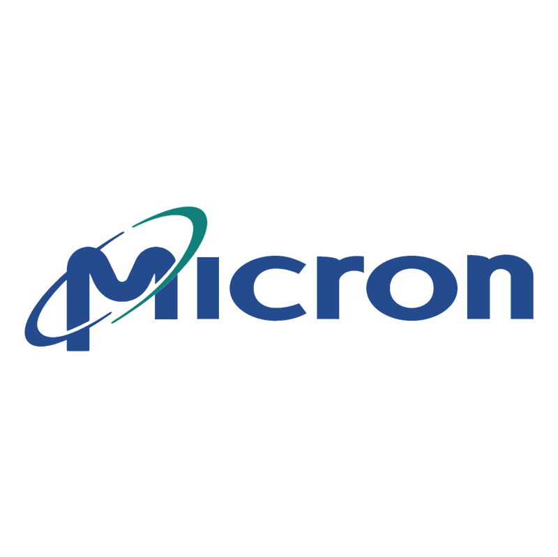 Micron vector