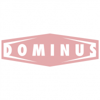 Dominus vector