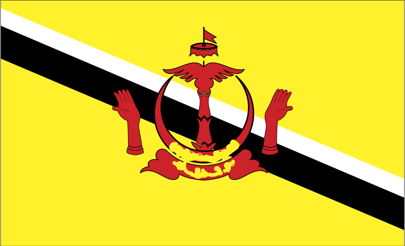 Brunei vector