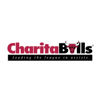 CharitaBulls vector