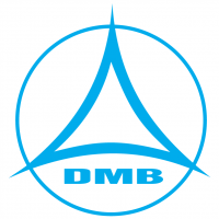 DMB vector