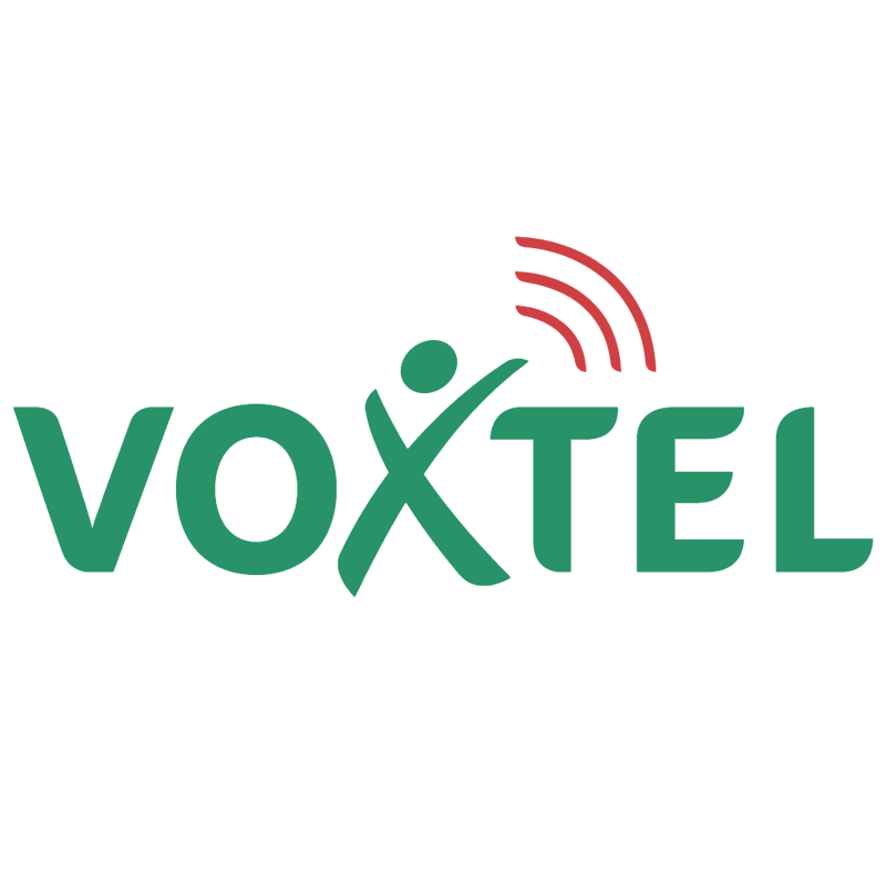 Voxtel vector