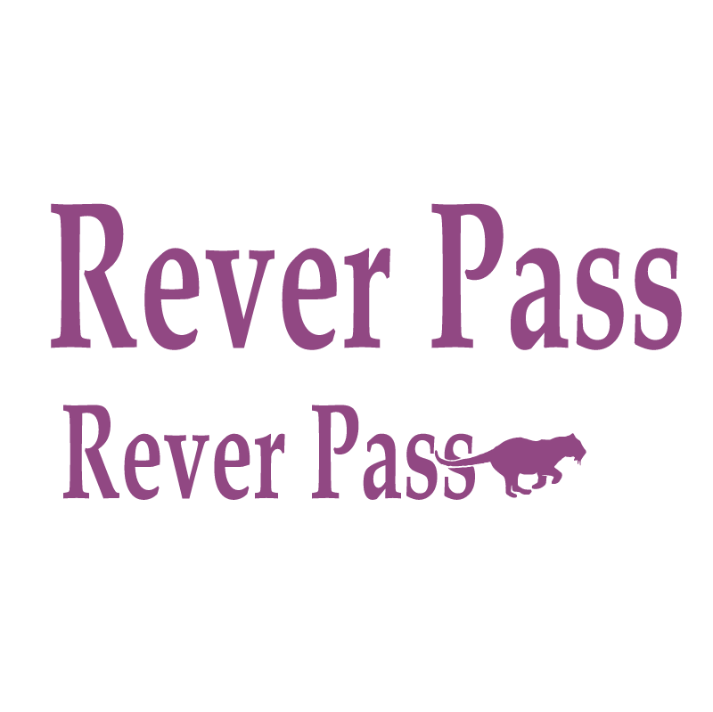 Rever Pass vector