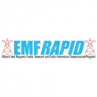 EMF Rapid vector