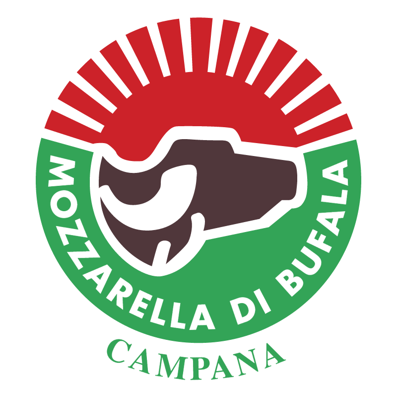 Mozzarella Bufala Campana vector