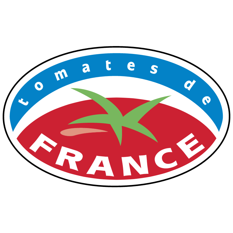 Tomates de France vector
