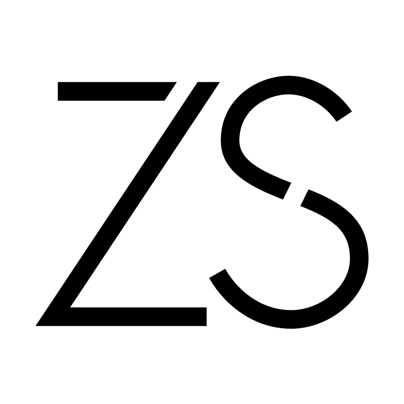 ZS Associates vector