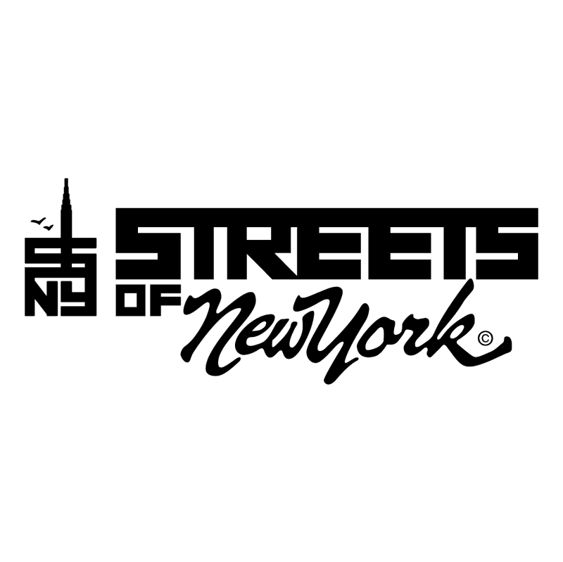Streets of New York vector