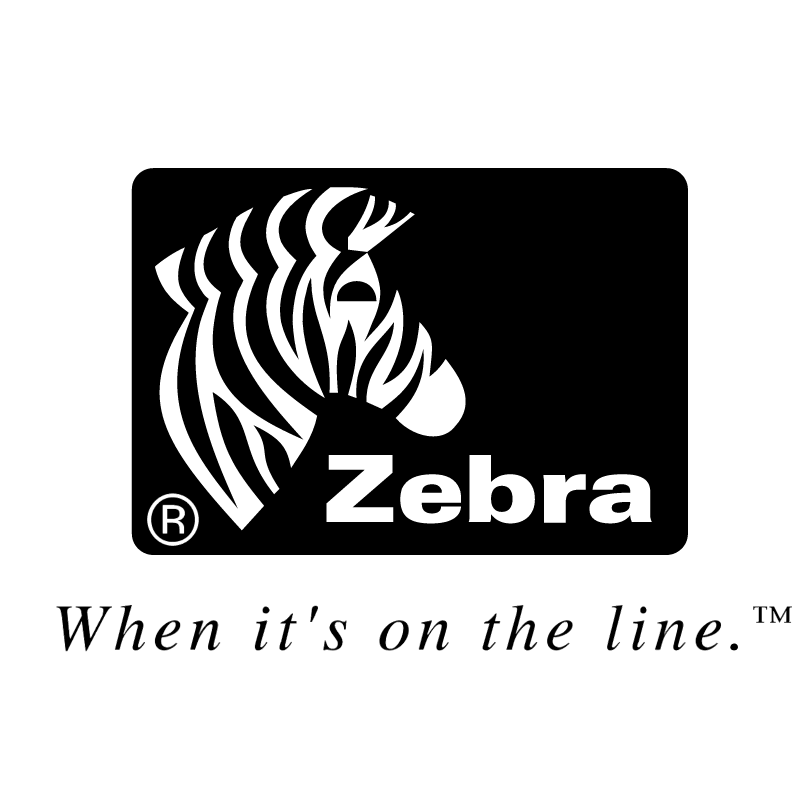 Zebra vector