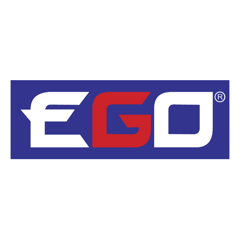 EGO vector
