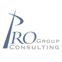 Pro Group Consulting vector