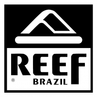 Reef Brazil vector