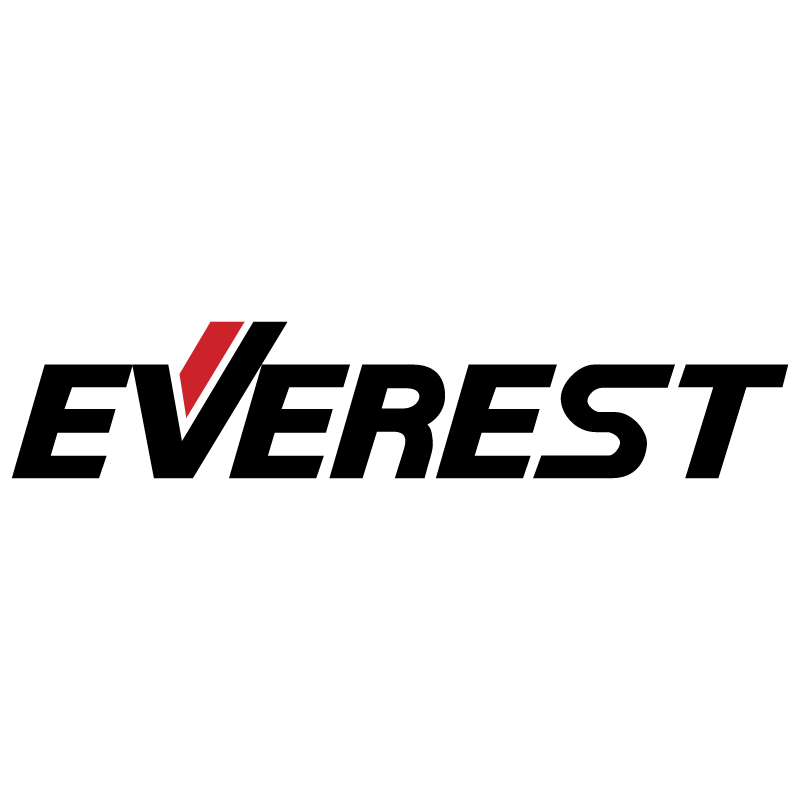 Everest vector