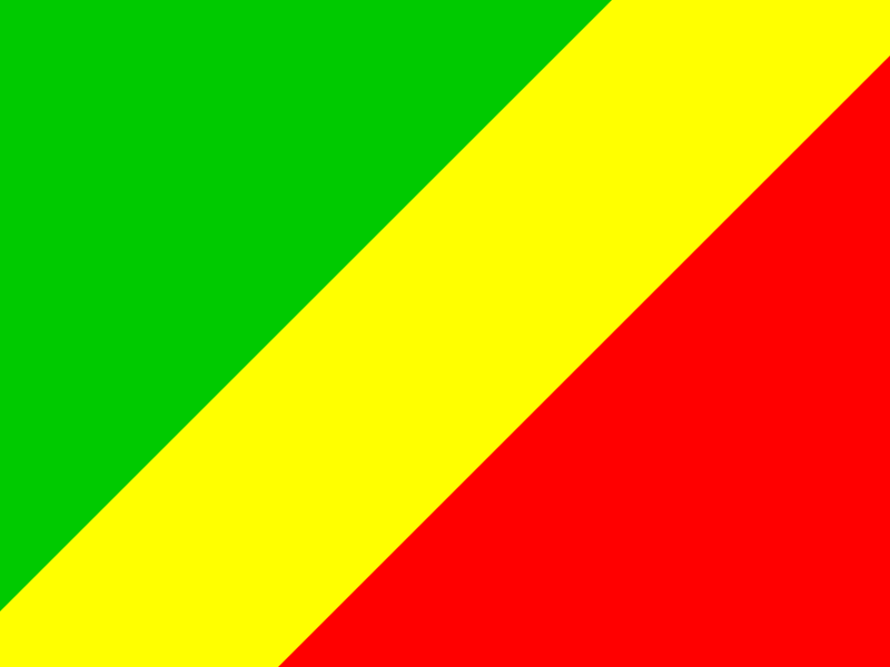 Flag of Congo vector