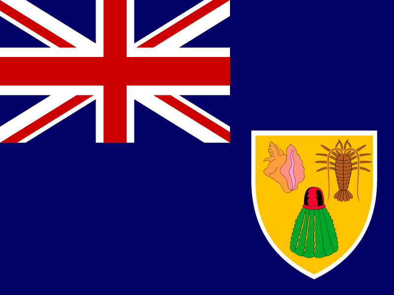 Flag of Turks and Caicos Islands vector