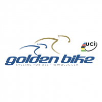Golden Bike vector
