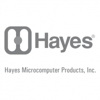 Hayes vector