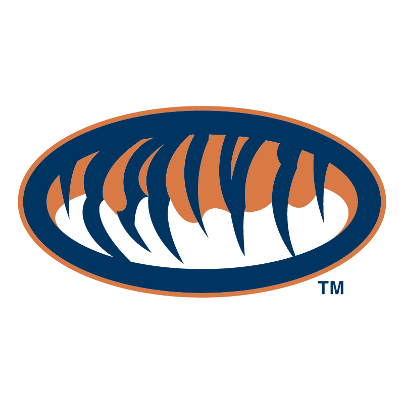 Auburn Tigers 75987 vector logo
