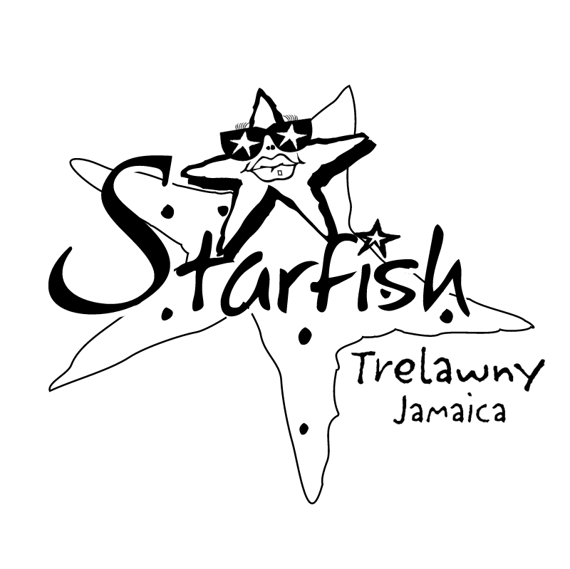 Starfish vector