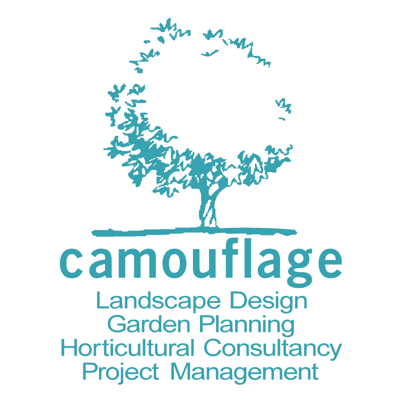 Camouflage Landscape Design vector logo