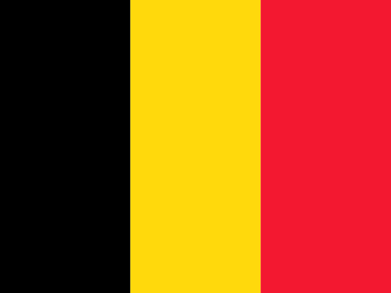 Flag of Belgium vector