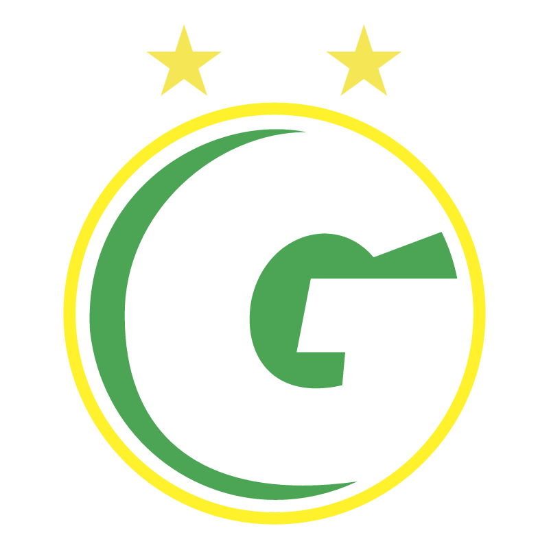 Gurupi Esporte Clube de Gurupi TO vector