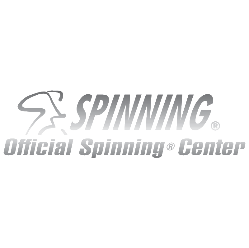 Spinning vector logo